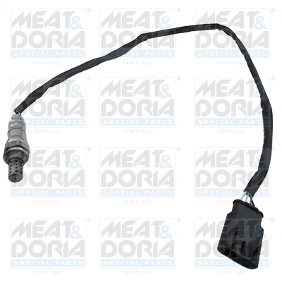 Oxygen Sensor